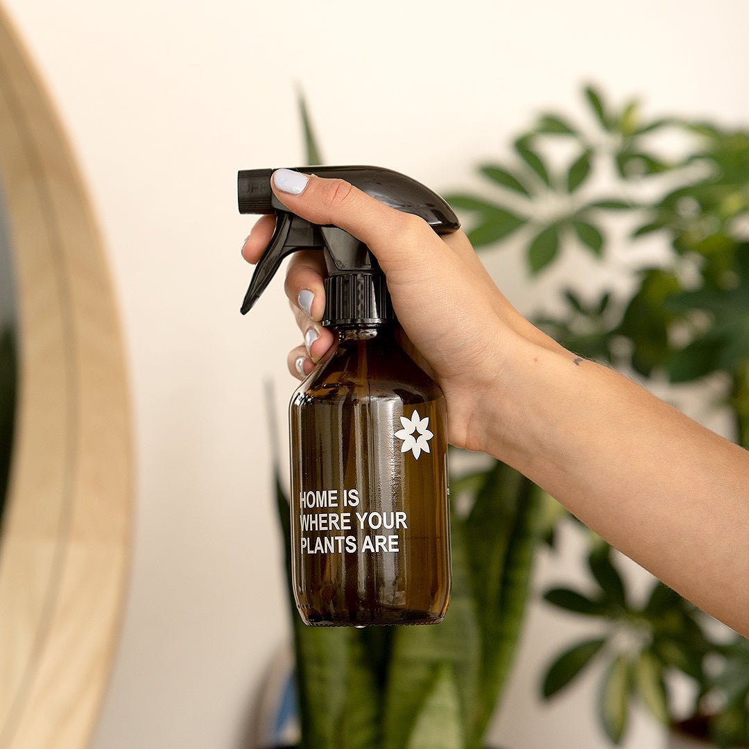 FARBIO Zubehör Pflanzenpflege Sprühflasche Glas 250ml