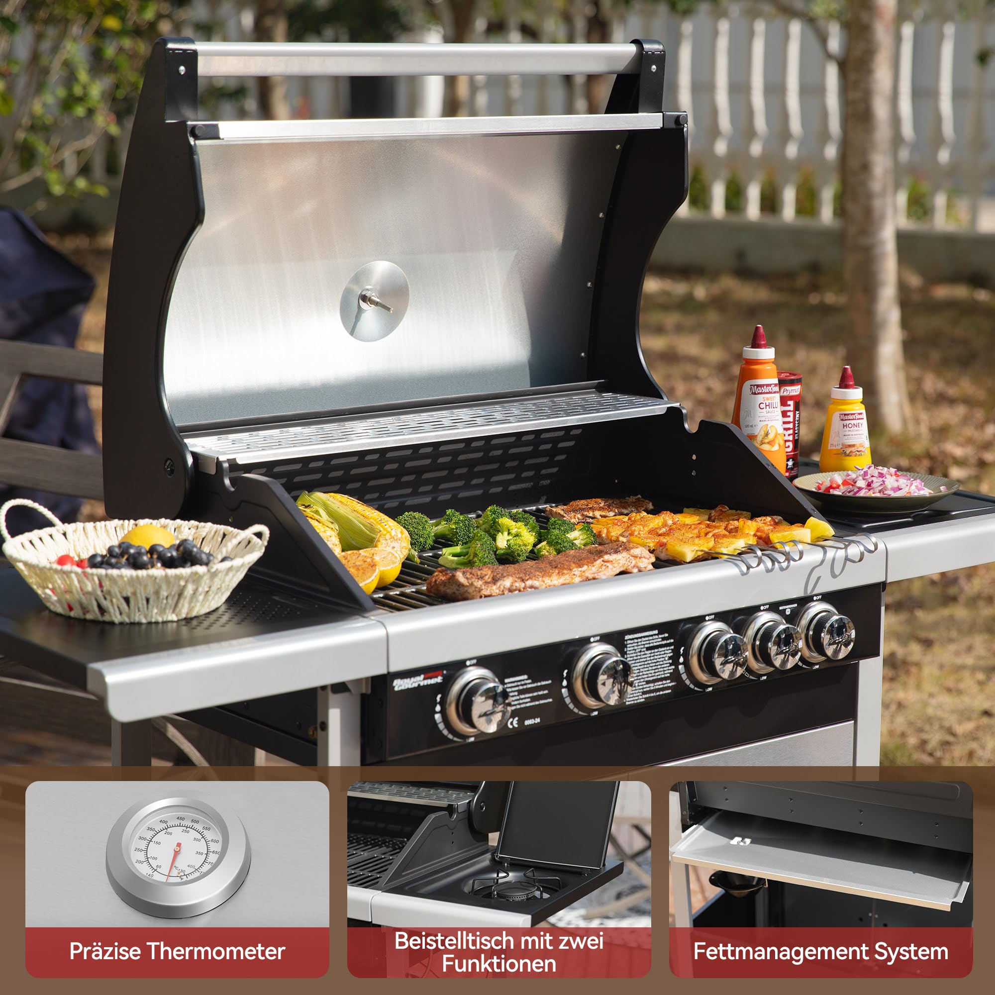Royal Gourmet Gasgrill 4+1 Brenner Silber 14,5 kW