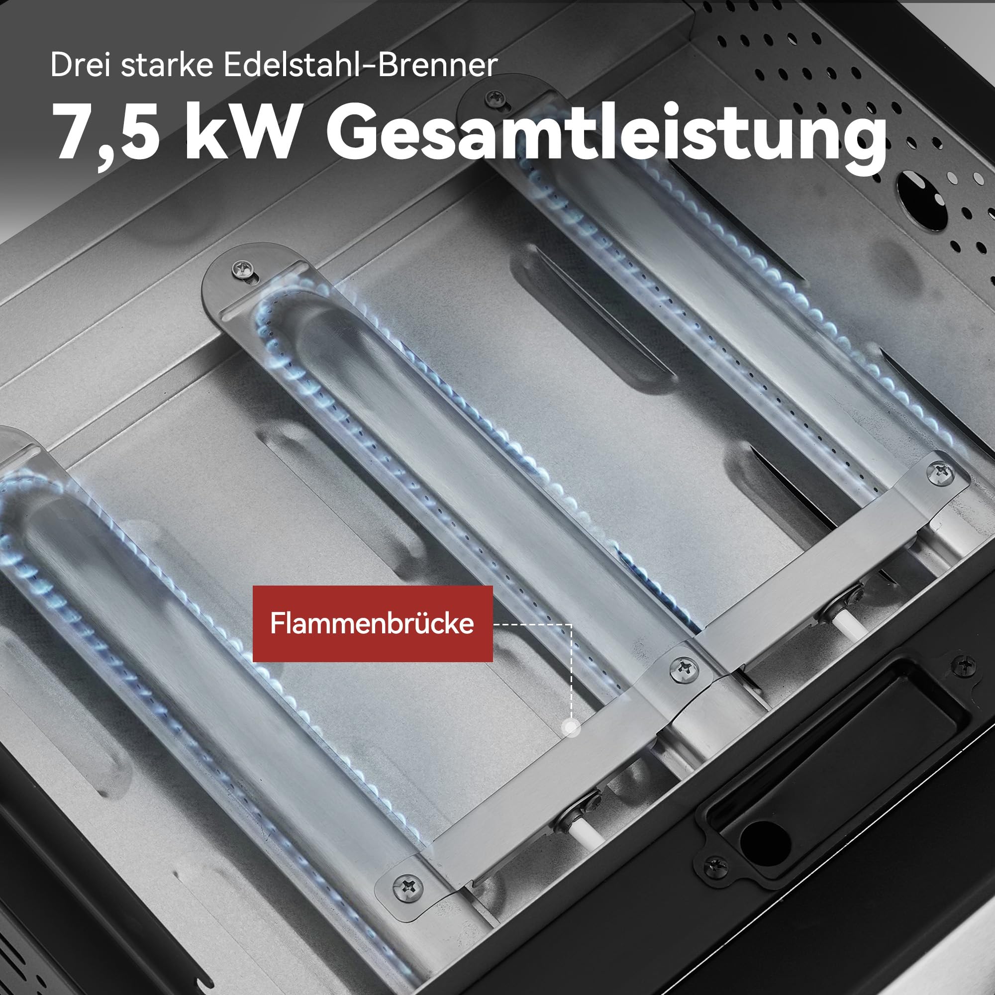 Royal Gourmet Gasgrills Plancha Tischgrill 3 Brenner Edelstahl