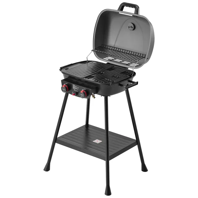 Royal Gourmet 2-Brenner Gasgrill Grau 5 kW Balkongrill mit Ablage