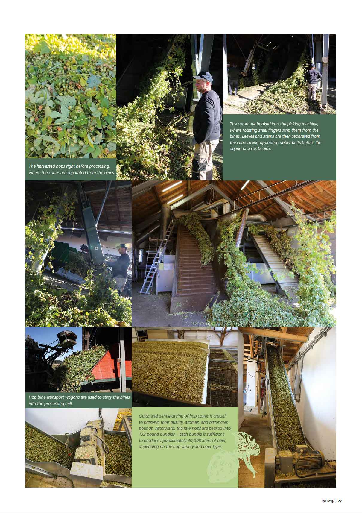 FIRE&FOOD 2025/01 Magazin International PDF Download