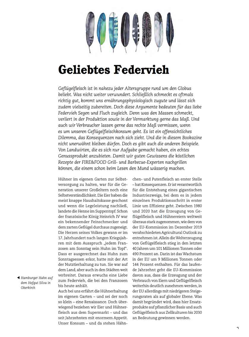FIRE&FOOD Bookazine No.9 Best Chicken Printausgabe Heft