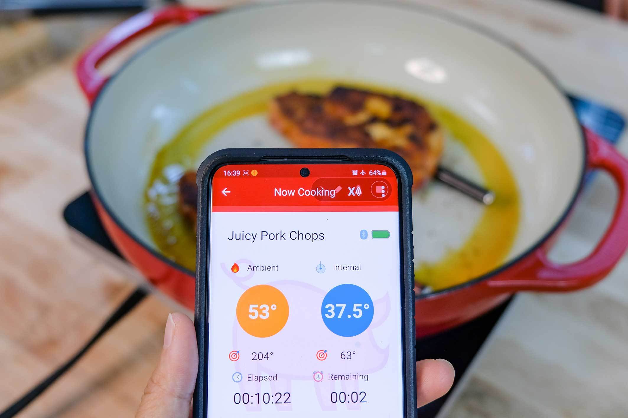 FIRE&FOOD Thermometer The MeatStick Set Fleischthermometer mit Bridge