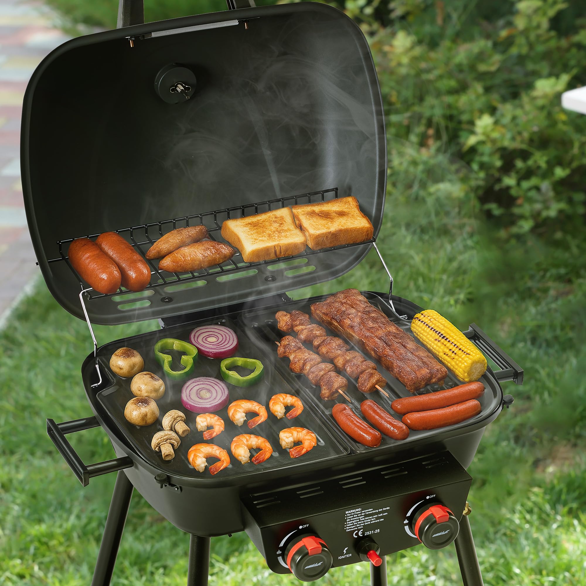 Royal Gourmet 2-Brenner Gasgrill Grau 5 kW Balkongrill mit Ablage