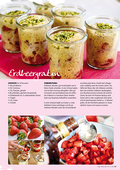 FIRE&FOOD Special No.3 Veggie Grillheft Download vegetarisch