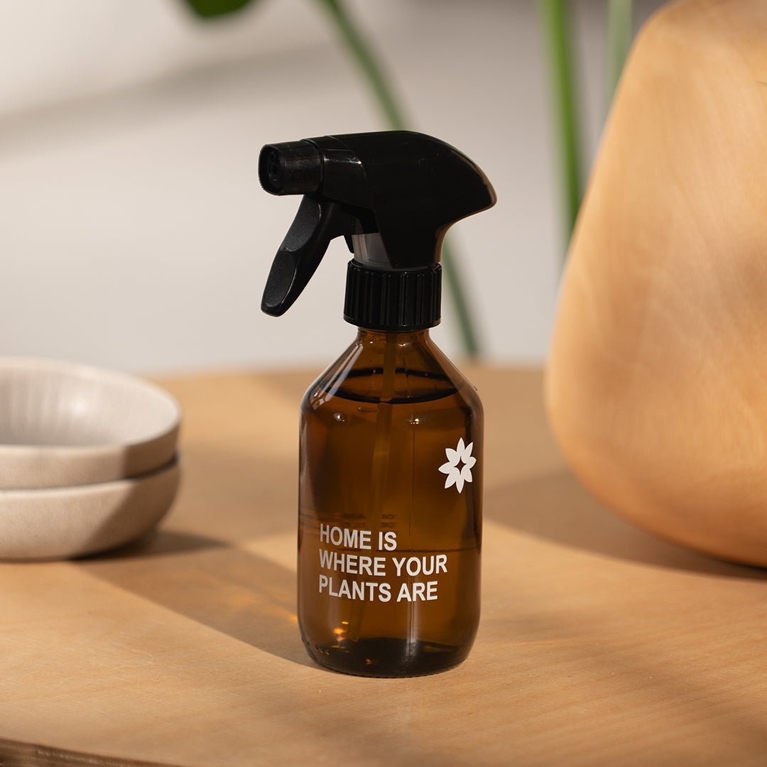 FARBIO Zubehör Pflanzenpflege Sprühflasche Glas 250ml