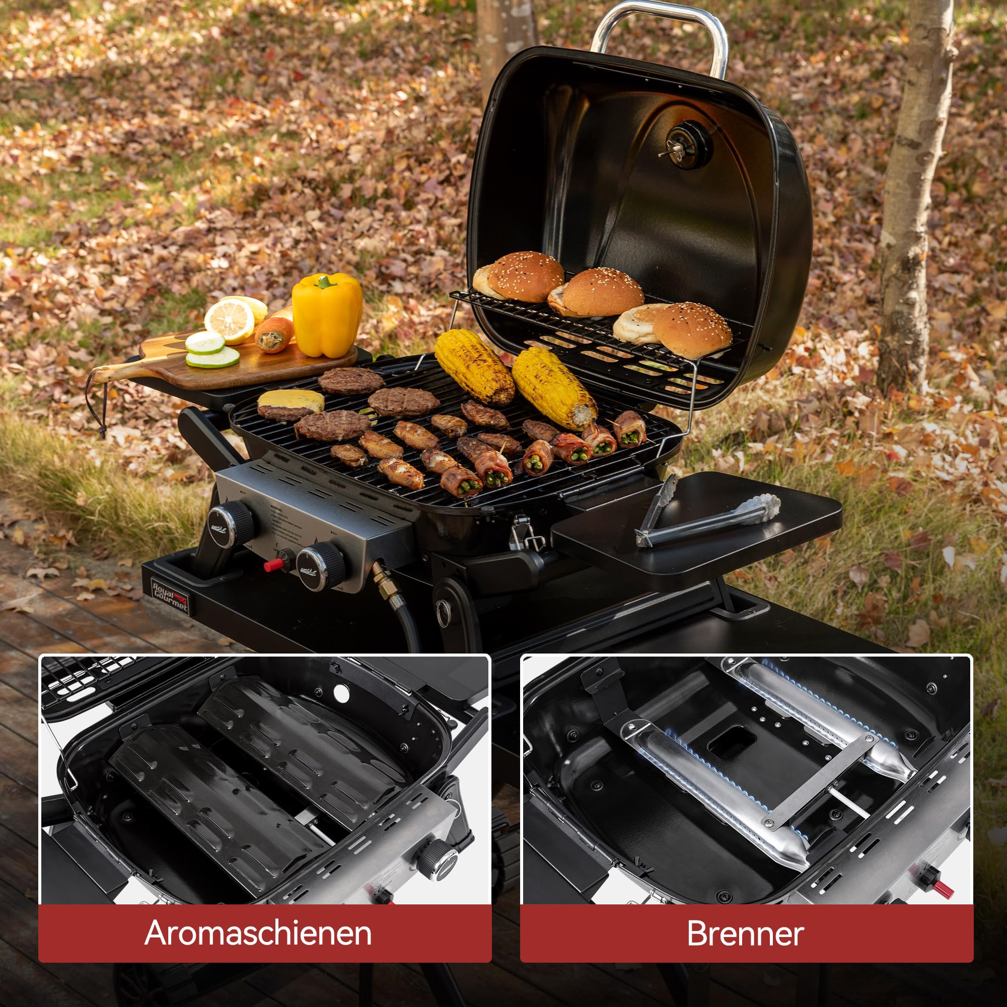 Royal Gourmet Gasgrills Tischgasgrill 2 Brenner 5 kW