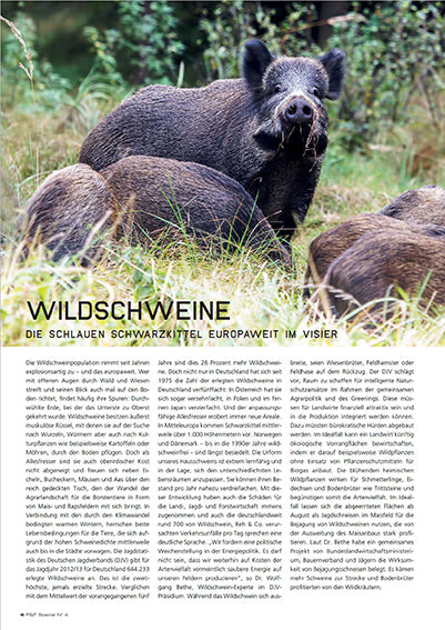 FIRE&FOOD Special No.4 Wildschwein Grill Print 84 Seiten