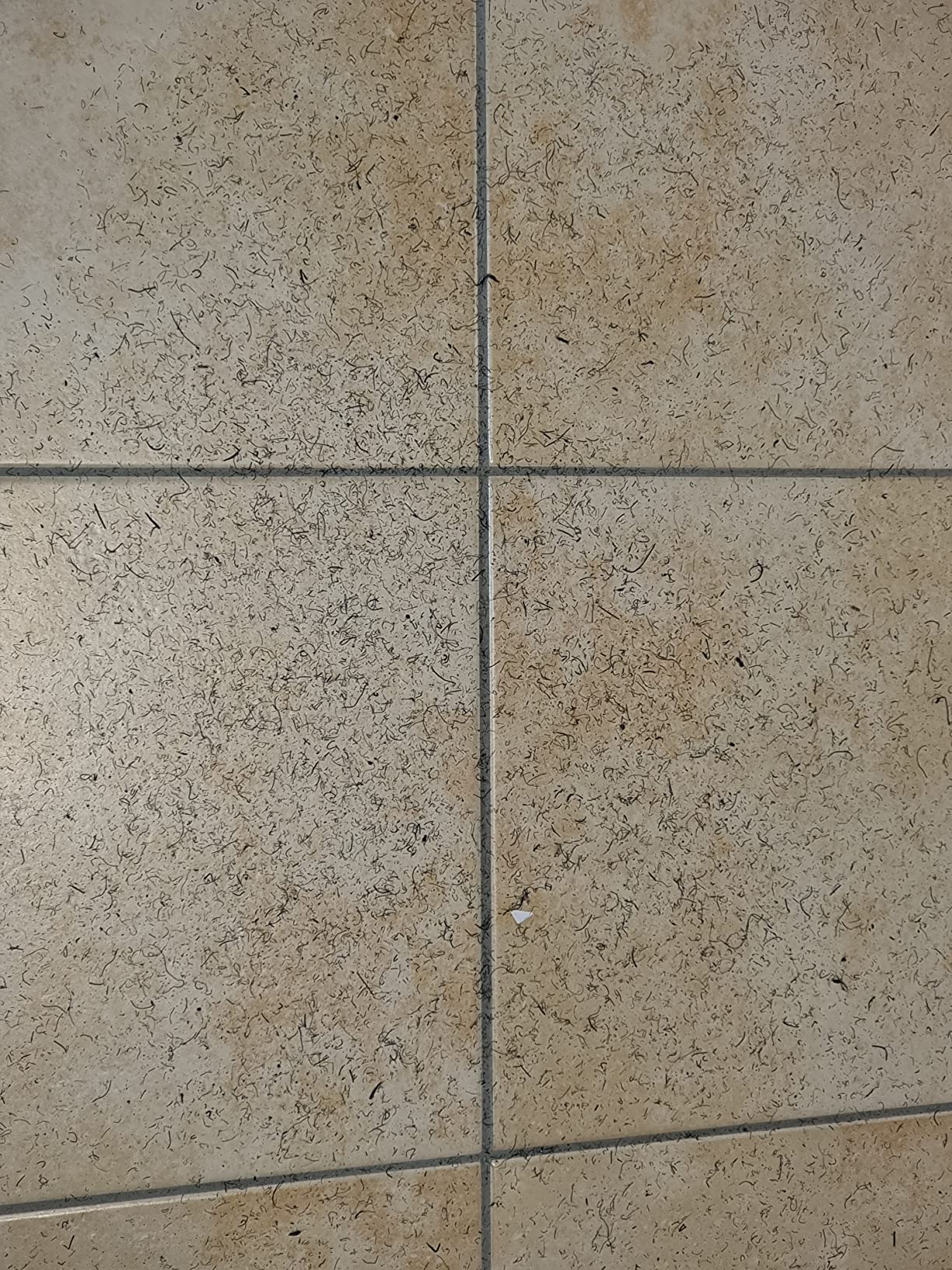 HPFloor Coconut Mats Kokosmatte Nature 80x50x2,4 cm