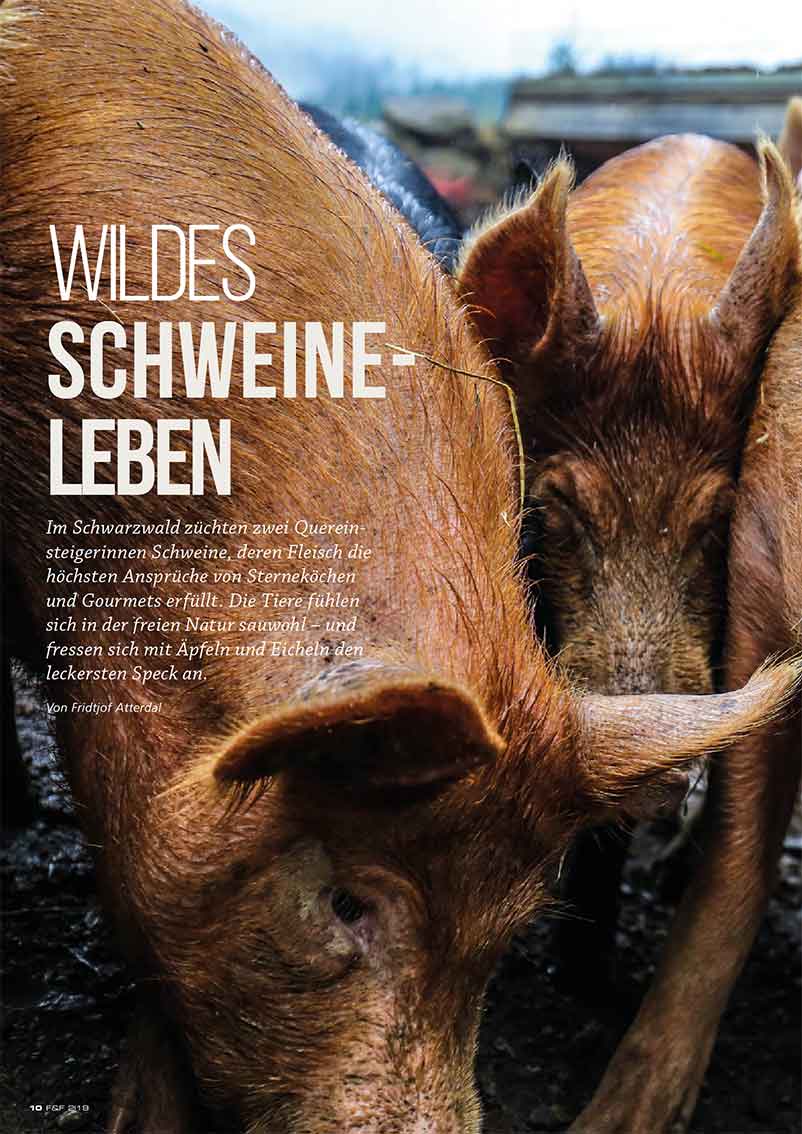 FIRE&FOOD Einzelausgabe 2019/02 Grillmagazin Printausgabe 100 Seiten