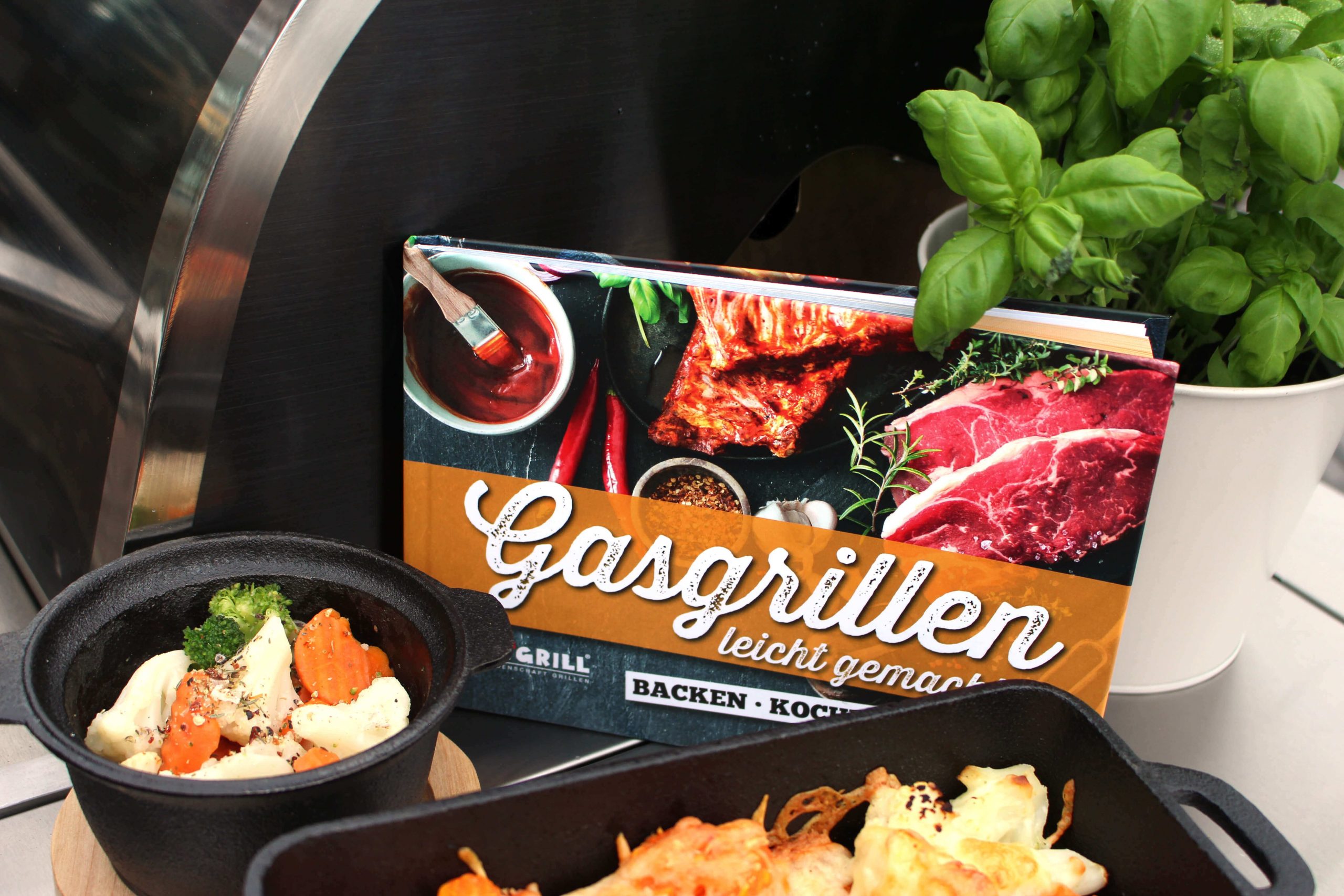 AllGrill Grillbuch Gasgrillen leicht gemacht 125 Rezepte 152 S.