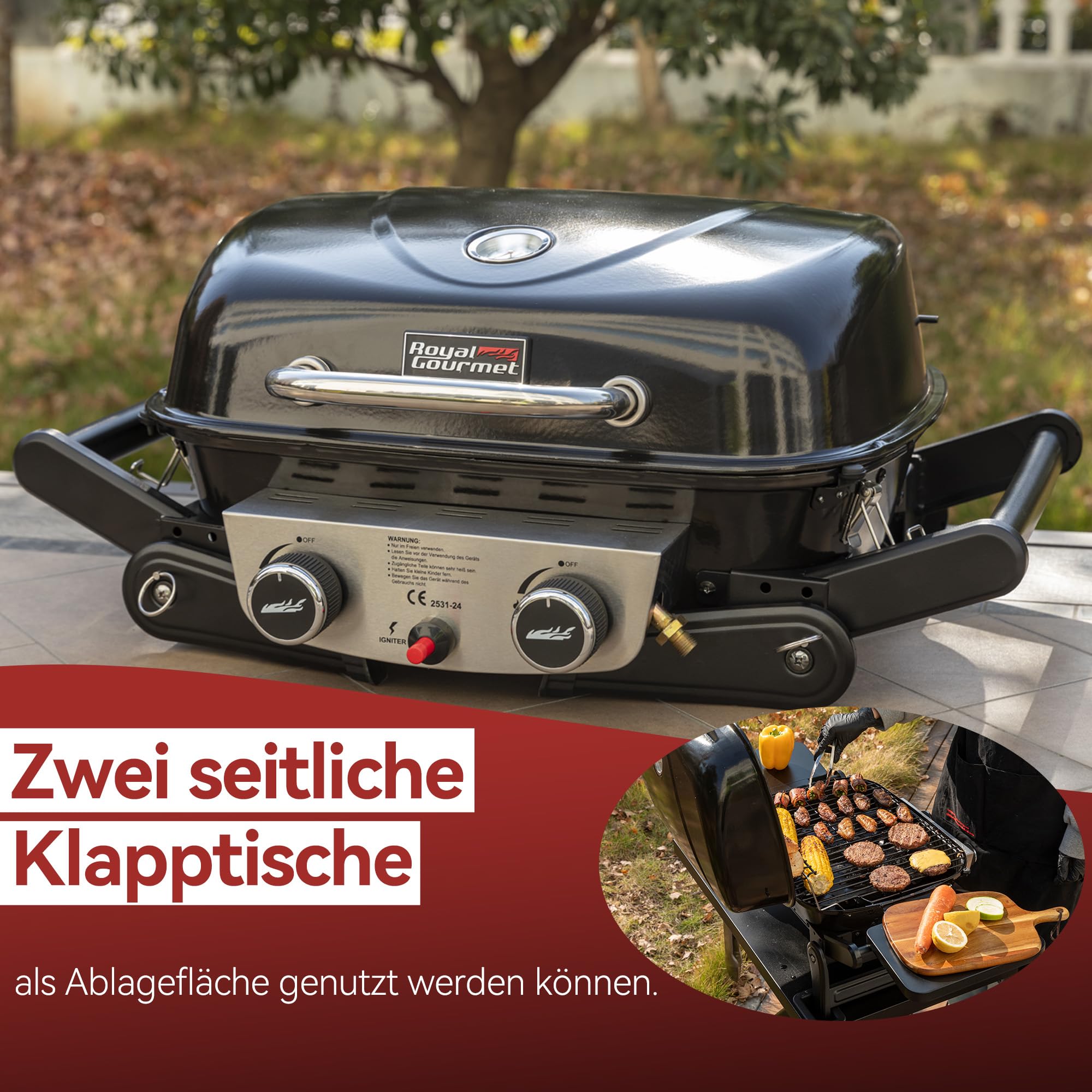 Royal Gourmet Gasgrills Tischgasgrill 2 Brenner 5 kW