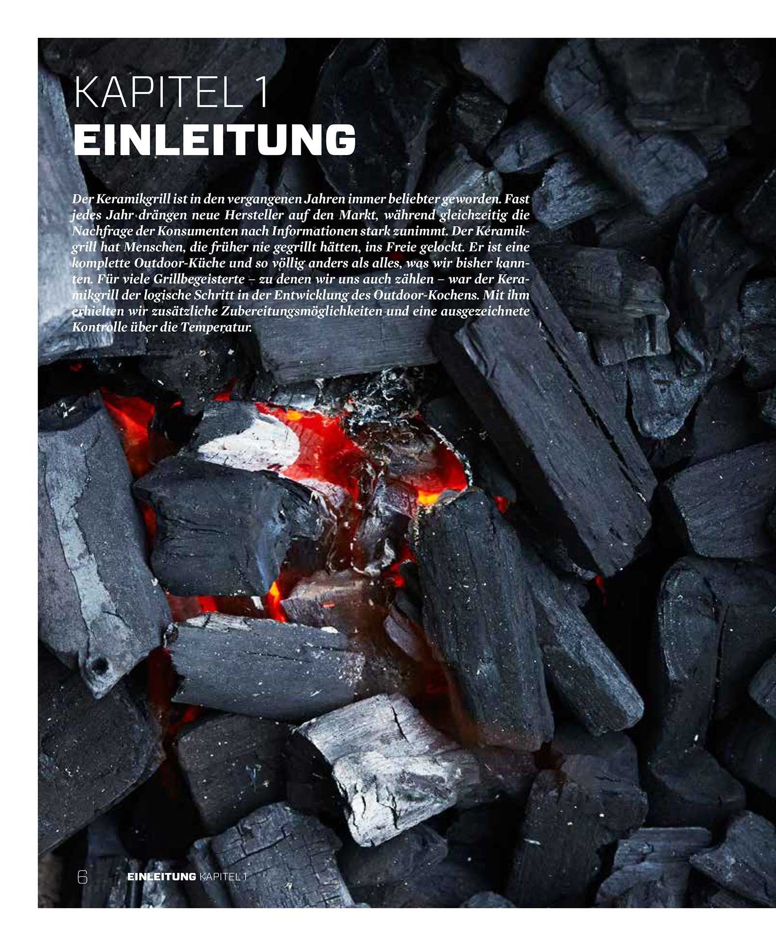 FIRE&FOOD Der Keramikgrill Grillbuch Technik Rezepte