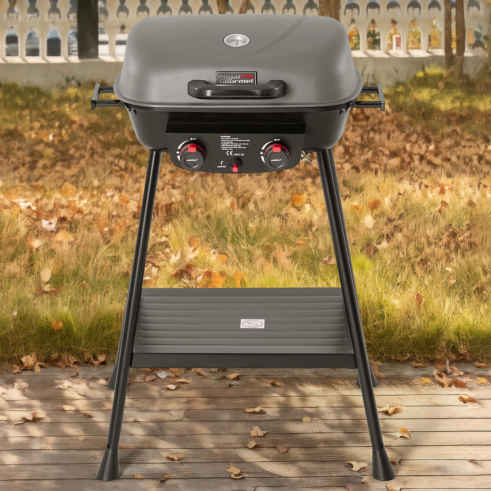 Royal Gourmet 2-Brenner Gasgrill Grau 5 kW Balkongrill mit Ablage