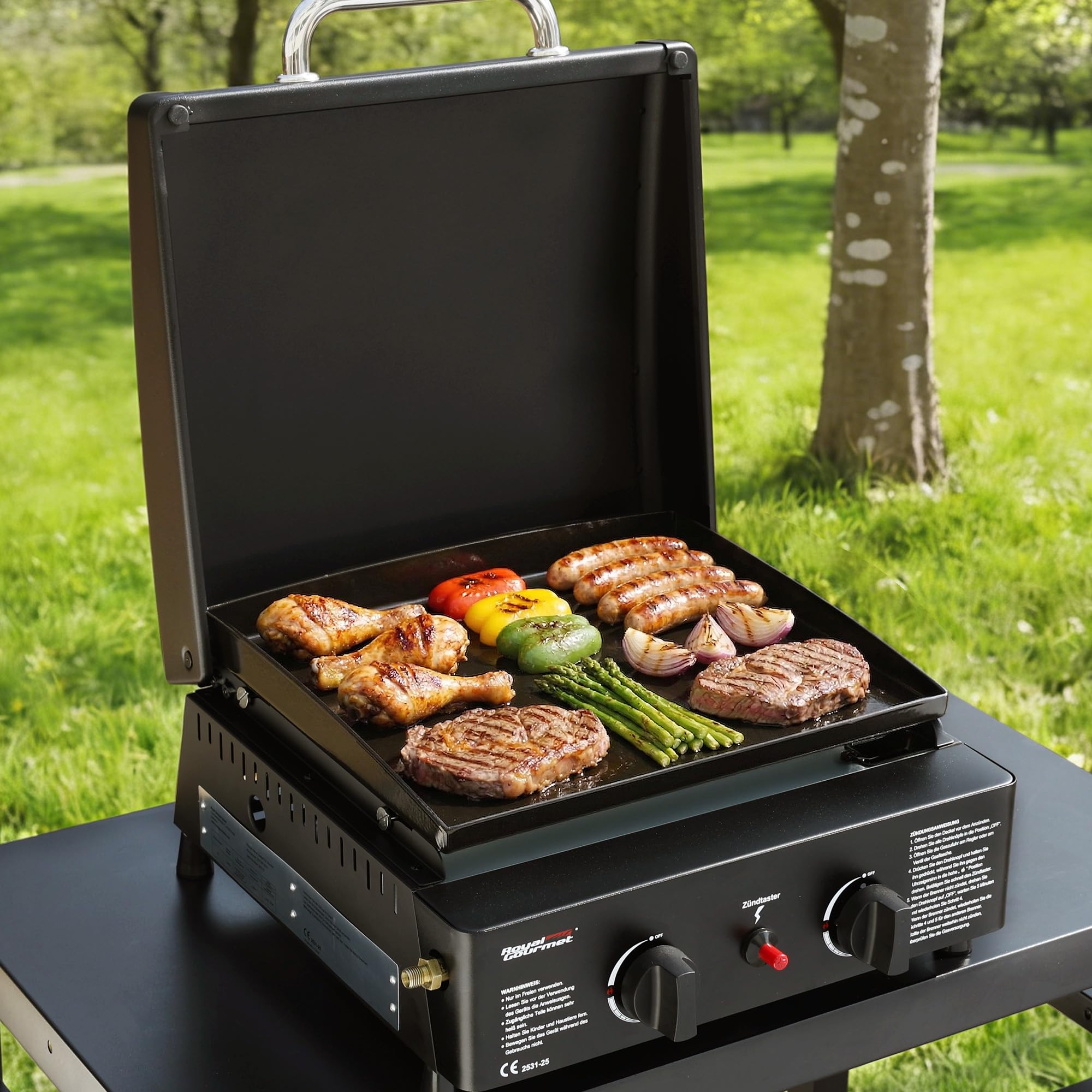 Royal Gourmet Gasgrills Tischgrill 2 Brenner 5 kW Schwarz