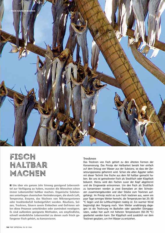 FIRE&FOOD Special No.2 Fisch Digitalausgabe Rezepte