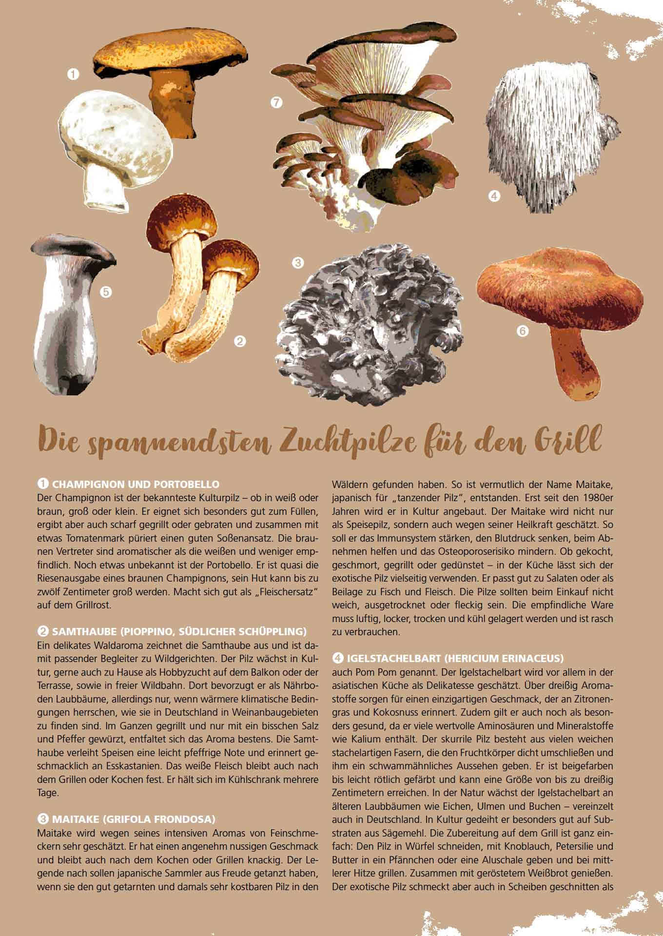 FIRE&FOOD eDossier BBQ-Rezeptideen mit Pilzen PDF 32 Seiten