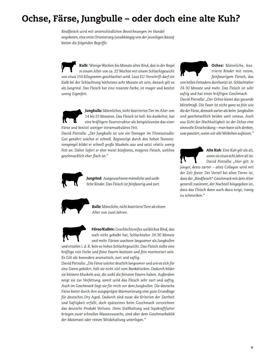 FIRE&FOOD Bookazines No.5 Best Steak Grillbuch Download