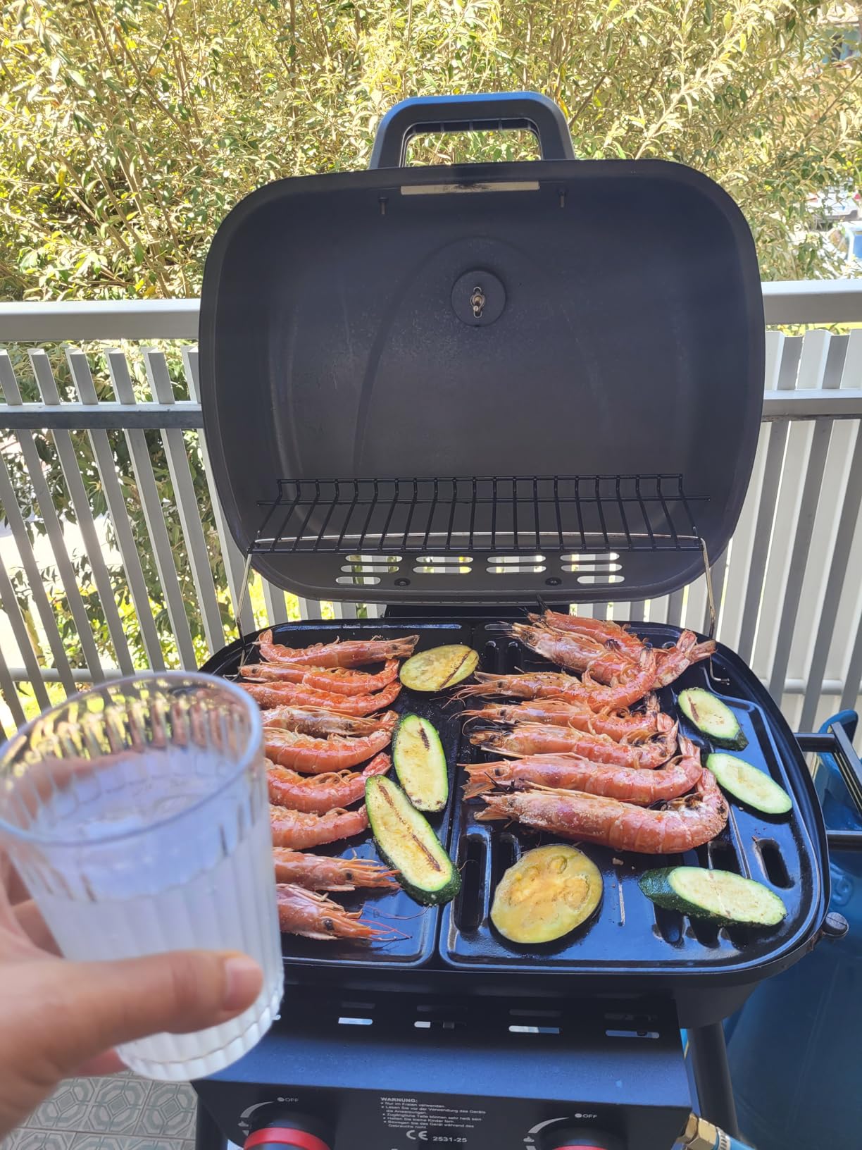 Royal Gourmet 2-Brenner Gasgrill Grau 5 kW Balkongrill mit Ablage