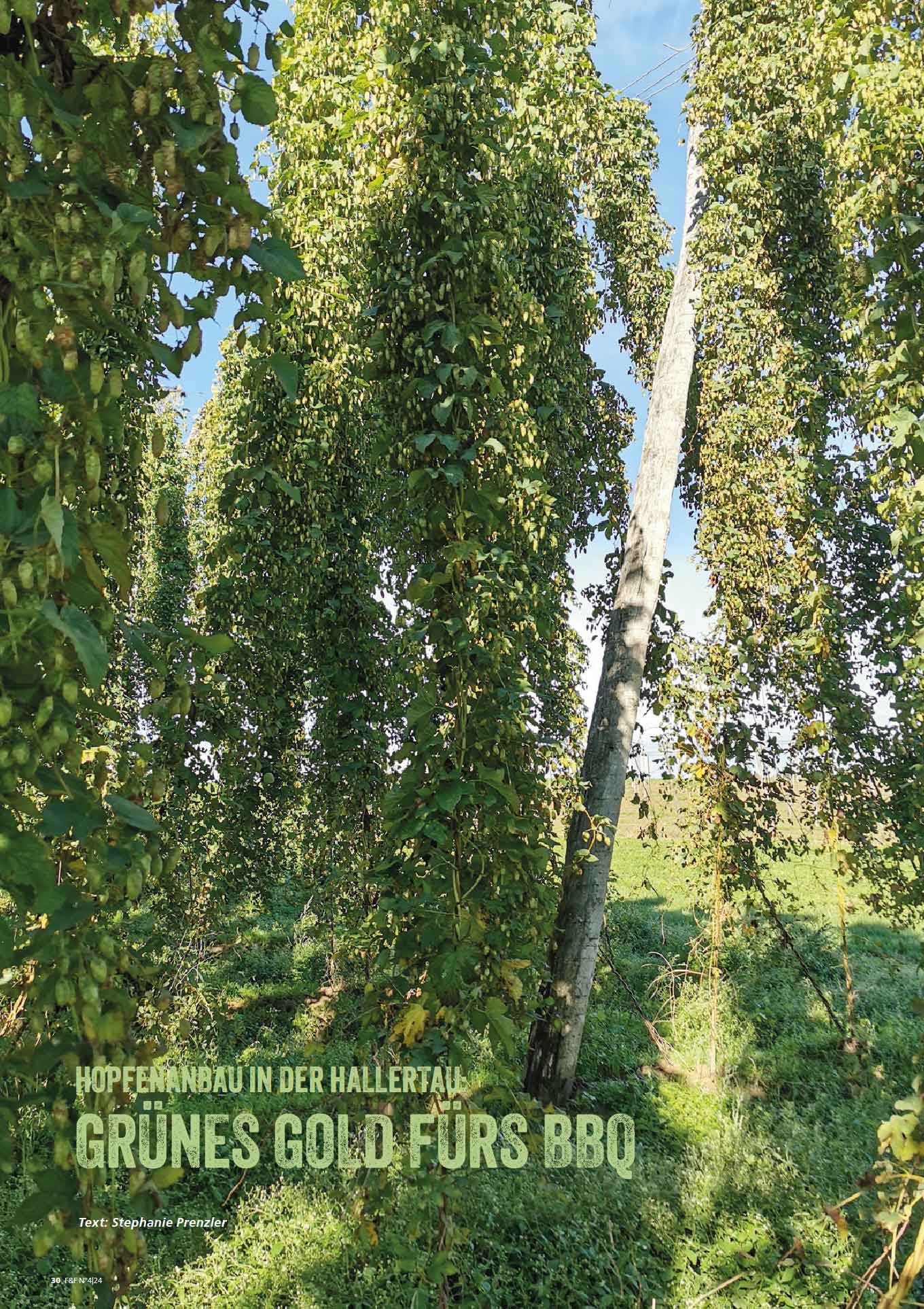 FIRE&FOOD 2024/04 Magazin Einzelausgabe Print Digital