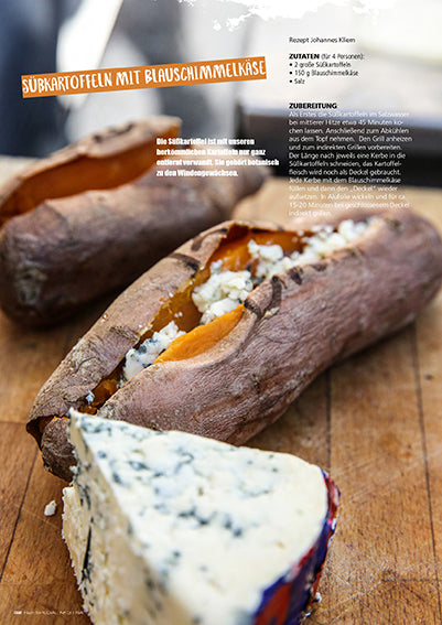 FIRE&FOOD Special No.3 Veggie Grillheft Download vegetarisch