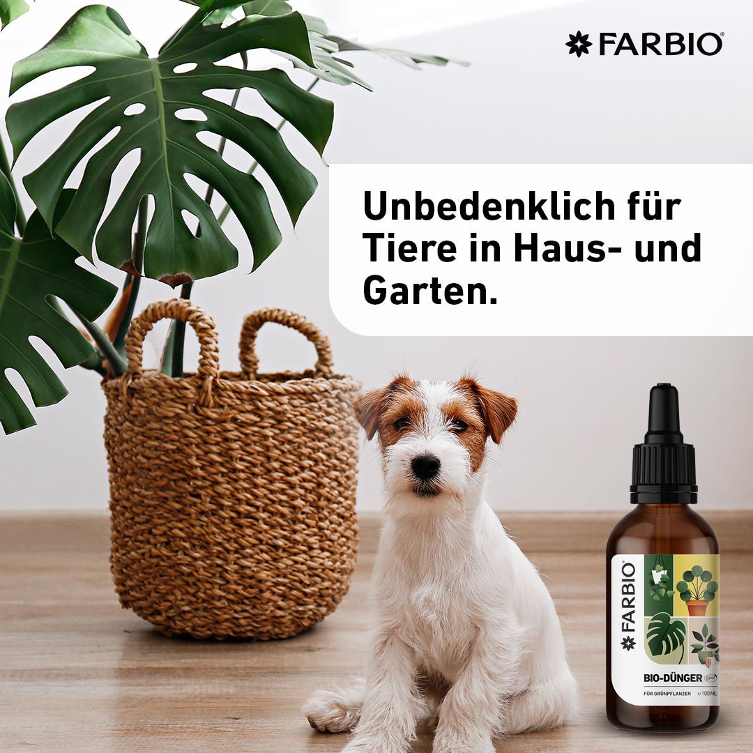 FARBIO NPK Flüssigdünger Grünpflanzen Dünger 100ml bio