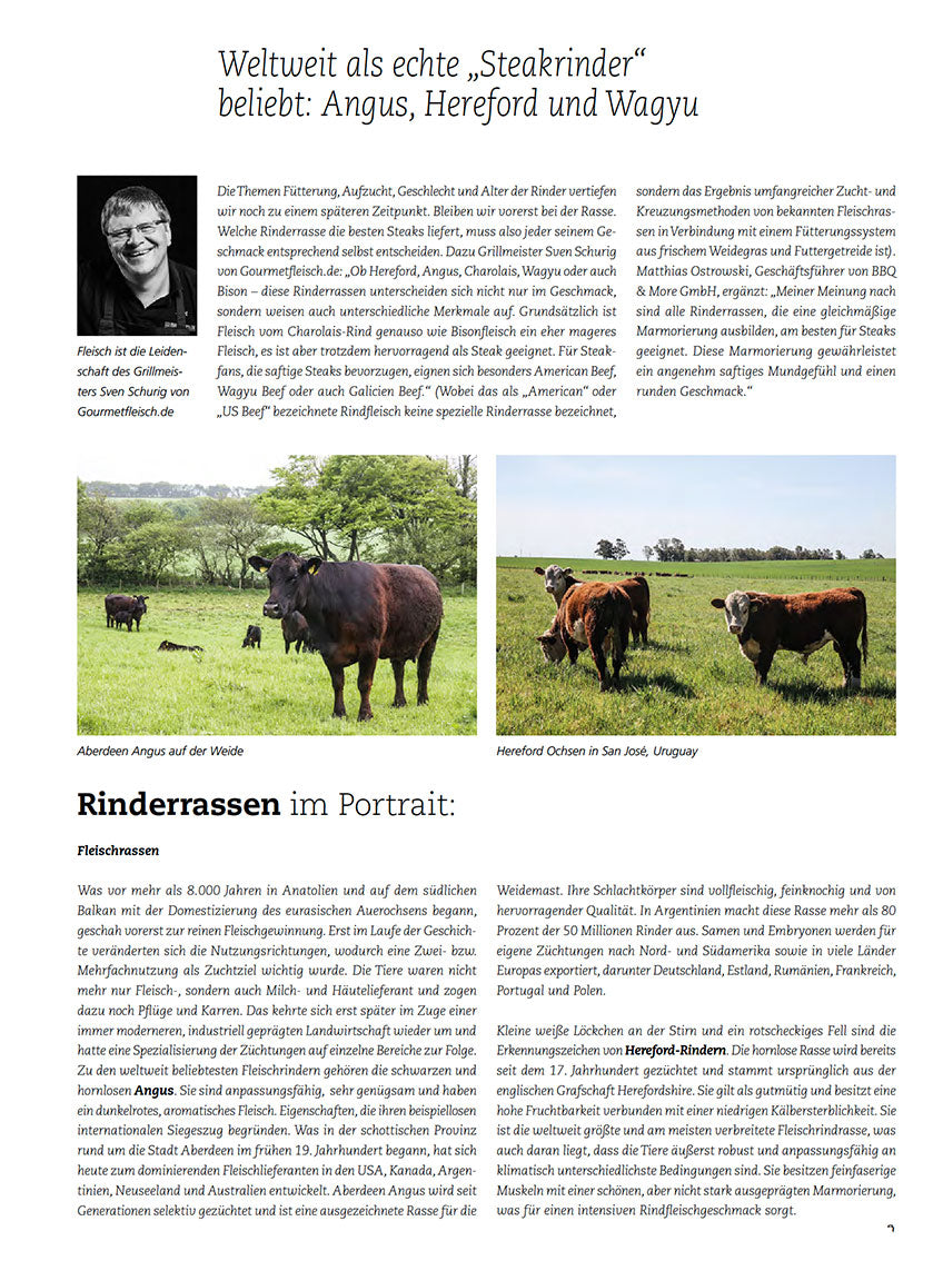 FIRE&FOOD Bookazines No.5 Best Steak Grillbuch Download