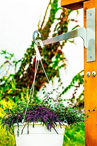 ChattenGlut Edelstahldesign Wandhalter 25kg 353mm rostfrei außen