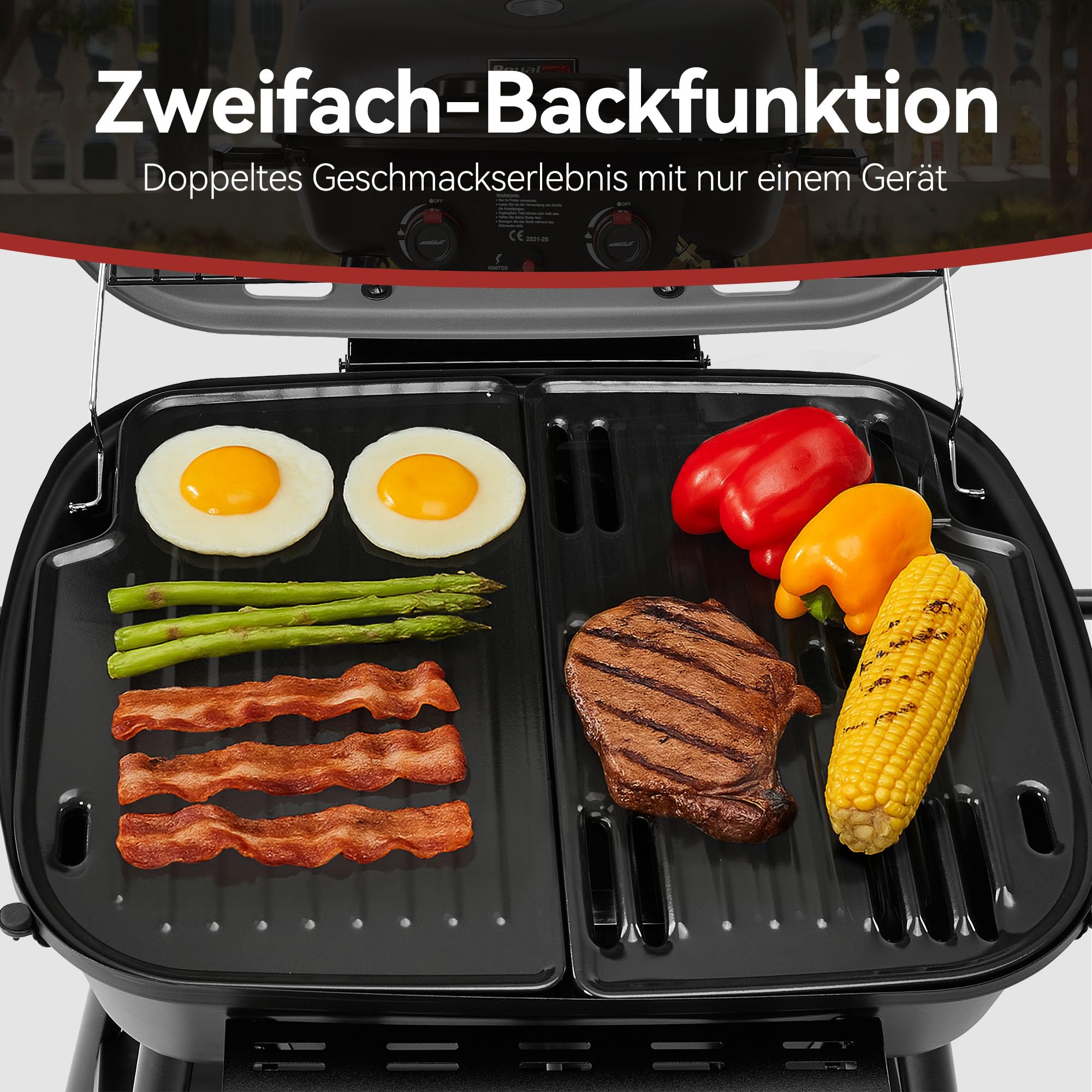 Royal Gourmet 2-Brenner Gasgrill Grau 5 kW Balkongrill mit Ablage