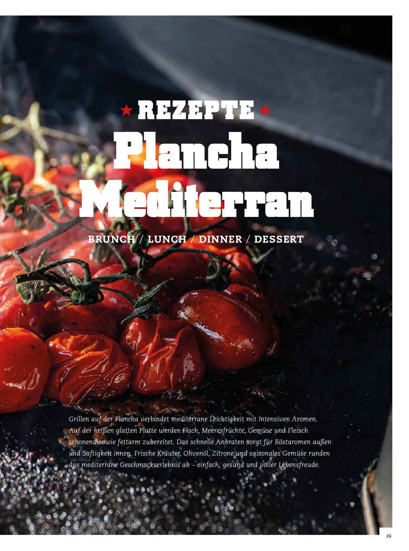 FIRE&FOOD Bookazine No.10 Hot Slate Grillmagazin Printausgabe Plancha